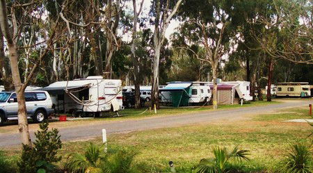 Buronga Riverside Tourist Park - Accommodation in Bendigo 0