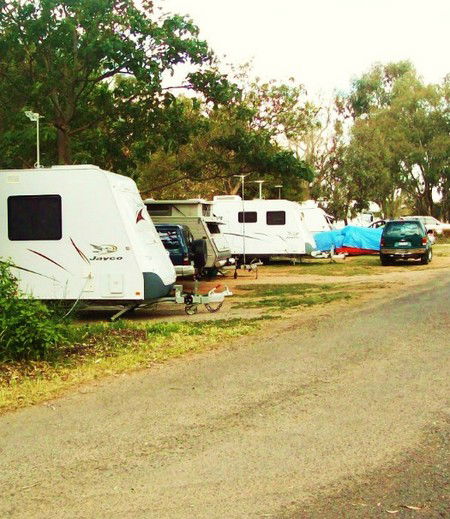 Buronga Riverside Tourist Park - Accommodation in Bendigo 5
