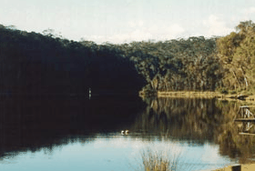 Rest Point Holiday Village - Accommodation in Bendigo 1