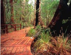 Coalmine Beach Holiday Park - Accommodation in Bendigo 3