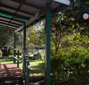 Bow River Cottage - Accommodation in Bendigo