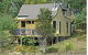 Mimosa Hill Wildflower Farm Cottages - thumb 2