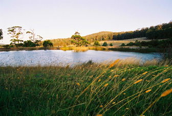 Hallowell Springs - Accommodation in Bendigo 1