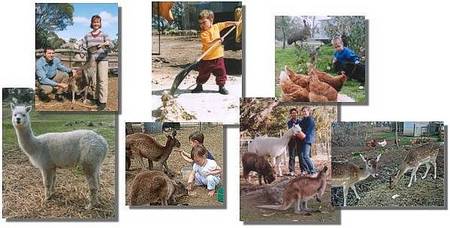 Kemminup Farm - Accommodation in Bendigo 2