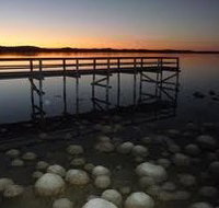 Lake Clifton Caravan Park - Accommodation in Bendigo