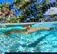 BIG4 Ballina Headlands Holiday Park - Accommodation in Bendigo