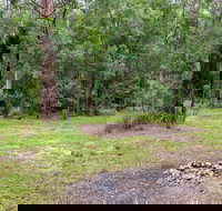Blue Gum Flat campground - Accommodation in Bendigo
