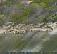 Boondi Rock Camp at Goldfields Woodlands National Park - Accommodation in Bendigo