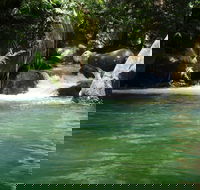 Daintree Secrets Rainforest Sanctuary - Accommodation in Bendigo