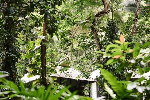 Daintree Ecolodge - Accommodation in Bendigo 0