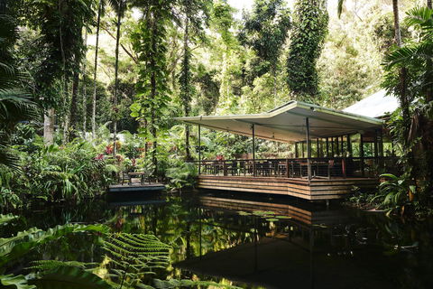 Daintree Ecolodge - Accommodation in Bendigo 1