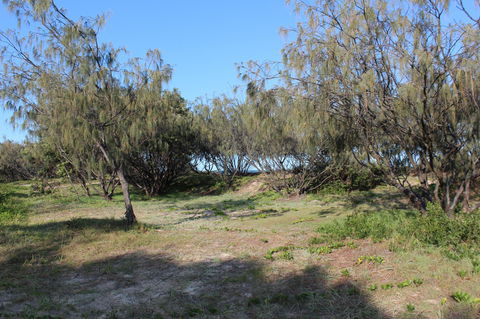 K'gari (Fraser Island) Camping, Great Sandy National Park - Accommodation in Bendigo 1