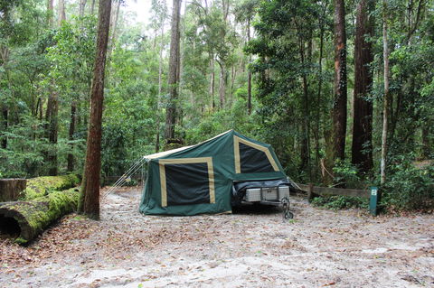K'gari (Fraser Island) Camping, Great Sandy National Park - Accommodation in Bendigo 2