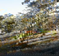 Molly's Chase - Accommodation in Bendigo