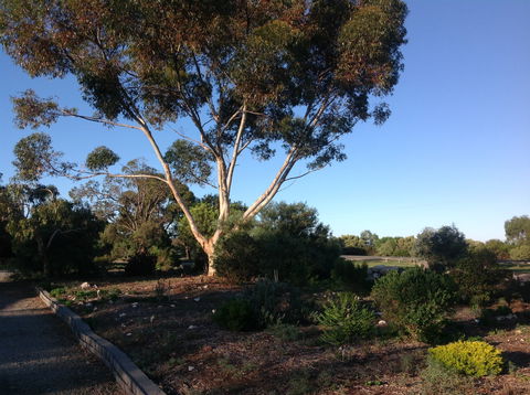 Murray Bridge Motor Inn - Accommodation in Bendigo 2