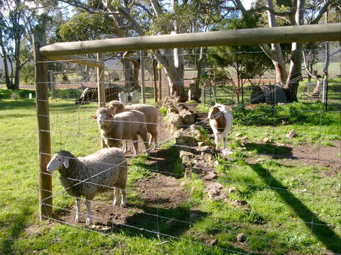 Nyroca Campsite & Group Accommodation - Accommodation in Bendigo 2
