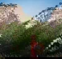 Sandstone Park Carnarvon Gorge - Accommodation in Bendigo