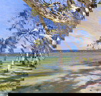 Shoal Cape Camp at Stokes National Park - Accommodation in Bendigo