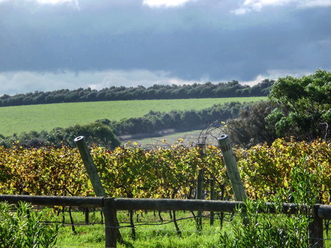 Suma Park Estate - Accommodation in Bendigo 1