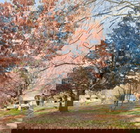 Tumbarumba Caravan Park - Accommodation in Bendigo