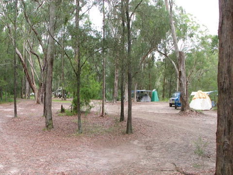 Wallingat River Campground - Accommodation in Bendigo 1