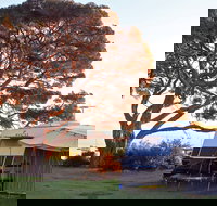 WhiteCliffs to Camerons Bight Foreshore Reserve - Accommodation in Bendigo