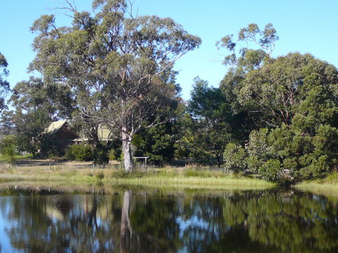 Wind Song Bed And Breakfast - Accommodation in Bendigo 2
