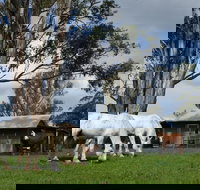 Woodenbong B and B - Accommodation in Bendigo