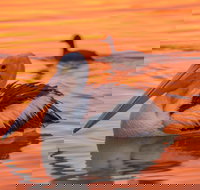 4 Pelican Court - River Shack Rentals - Accommodation in Bendigo