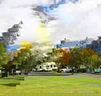 Armidale Tourist Park - Accommodation in Bendigo