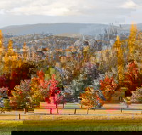 City Centre Motor Inn - Accommodation in Bendigo