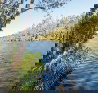 Ferny Creek campground - Accommodation in Bendigo