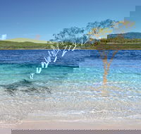 Fraser Island Fishing Units - Accommodation in Bendigo