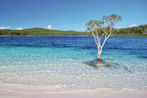 Fraser Island Fishing Units - Accommodation in Bendigo 0