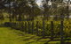 H Boutique Hotel - thumb 0