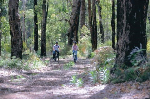 Honeymoon Pool - Gelcoat Camp At Wellington National Park - Accommodation in Bendigo 0