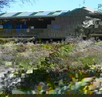 Melaleuca - Eco and Pet Friendly  Harbor Point Cabins - Accommodation in Bendigo