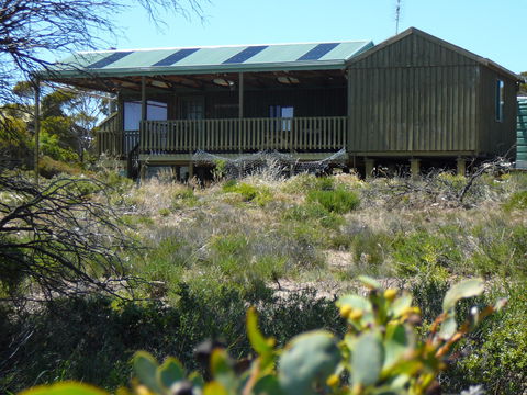 Melaleuca - Eco And Pet Friendly,  Harbor Point Cabins - Accommodation in Bendigo 0