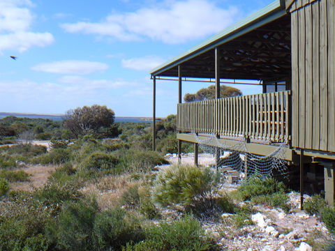 Melaleuca - Eco And Pet Friendly,  Harbor Point Cabins - Accommodation in Bendigo 1