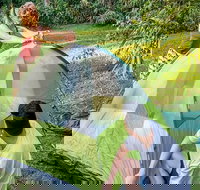 Rivermouth campground - Accommodation in Bendigo