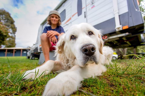 BIG4 St Helens Holiday Park - Accommodation in Bendigo 2