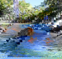 Big4 Aussie Outback Oasis Holiday Park - Accommodation in Bendigo