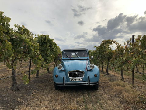 Birches Bed And Breakfast Mudgee - Accommodation in Bendigo 2