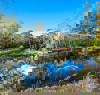 Cooks House - Hawthorn Hill Mount Wilson - Accommodation in Bendigo