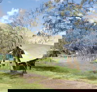 Pebbly Beach campground - Yuraygir National Park - Accommodation in Bendigo