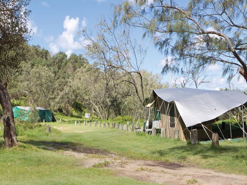 Pebbly Beach Campground - Yuraygir National Park - Accommodation in Bendigo 0