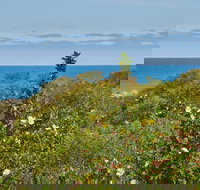 Preston Beach Front Apartment - Accommodation in Bendigo