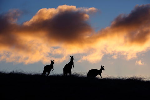 Sky House LifeTime Private Retreats - Accommodation in Bendigo 1