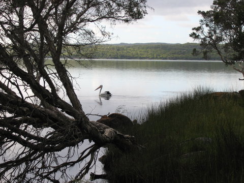 The Cove - Accommodation in Bendigo 0