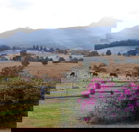 The Barn  House Farm Stay at Possum Manor - Accommodation in Bendigo